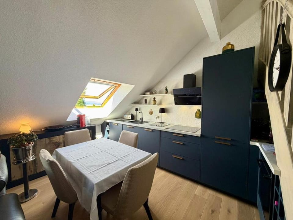 Le cocon en duplex avec parking Apartment in Thonon-les-Bains