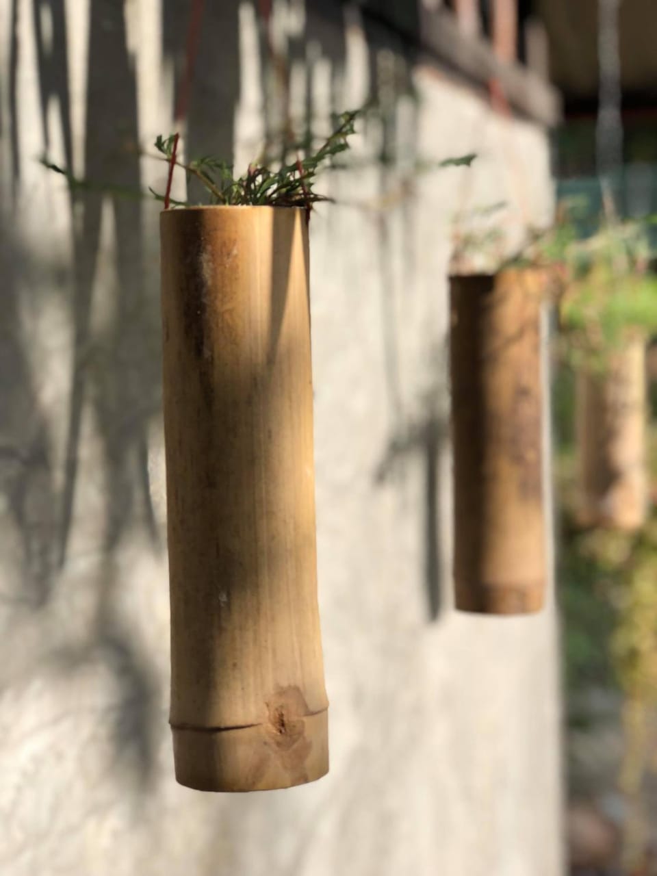 Baan Loylom Farmstay Vacation rental in Thailand