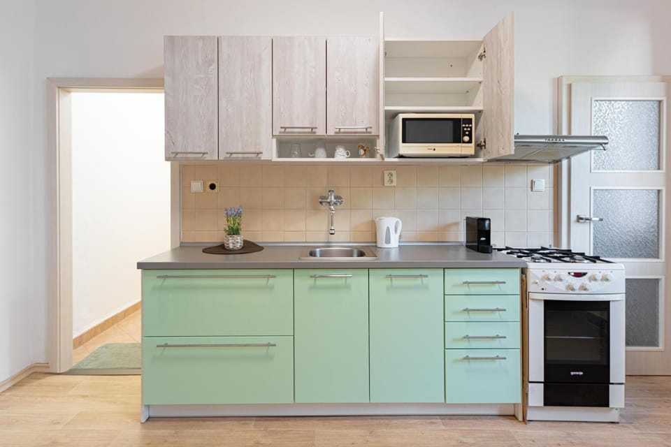 Budweis Comfort Apartment Apartment in South Bohemian Region