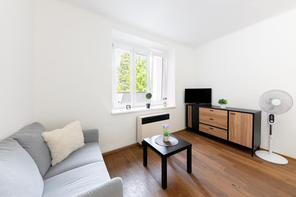 Budweis Comfort Apartment Apartment in South Bohemian Region