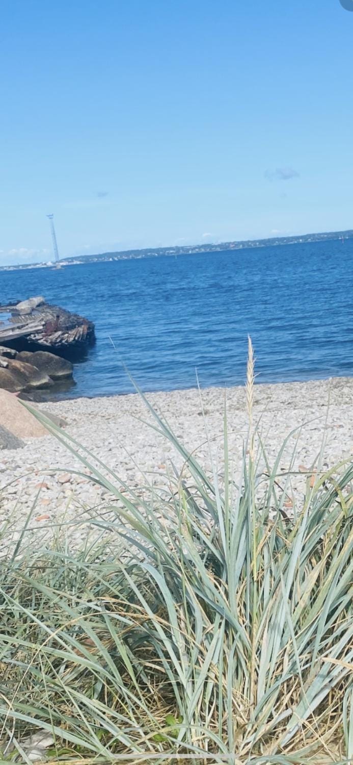 Romantic city studio near the beach, free parking, self check in Apartment in Tallinn