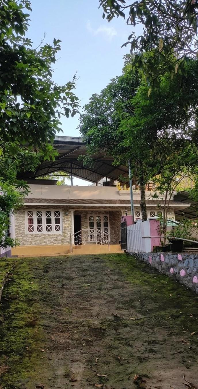 palm vista home stay House in Kerala