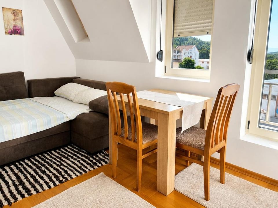 Cozy studio Apartment in Podgorica