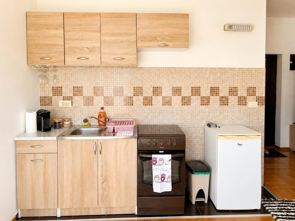 Cozy studio Apartment in Podgorica