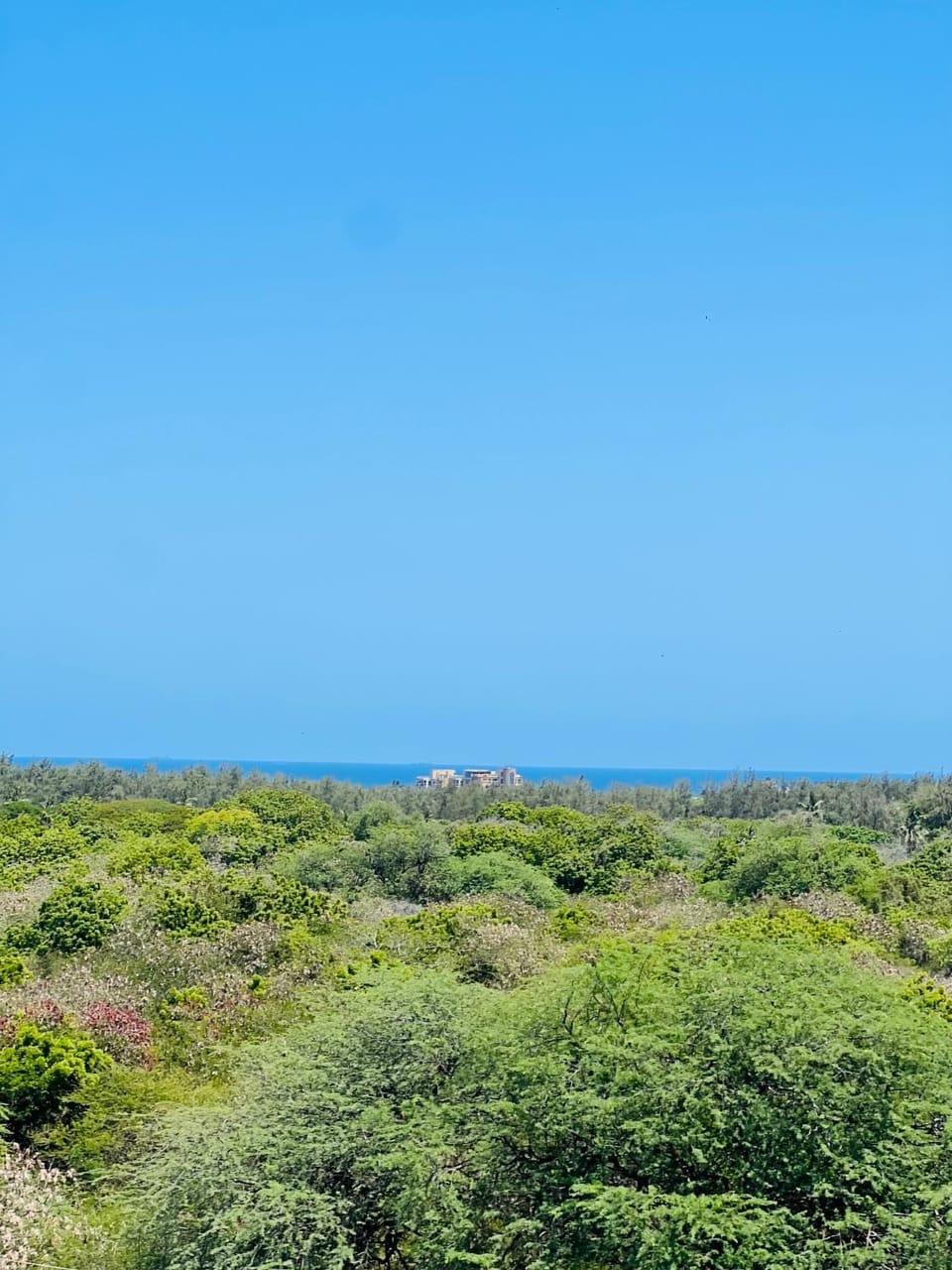 Sea view