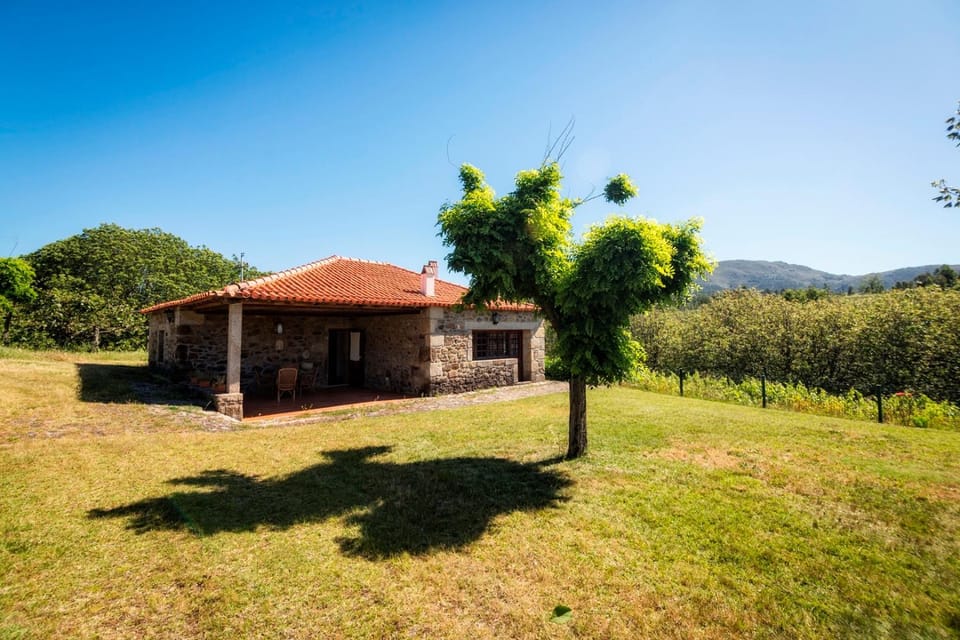 Property building, Garden view