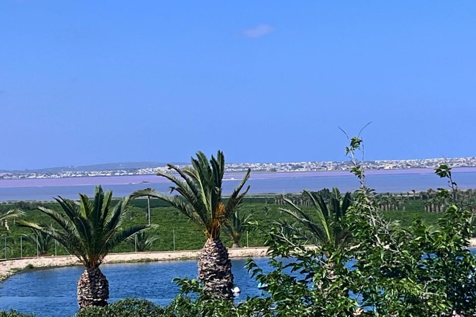 Natural landscape, Lake view