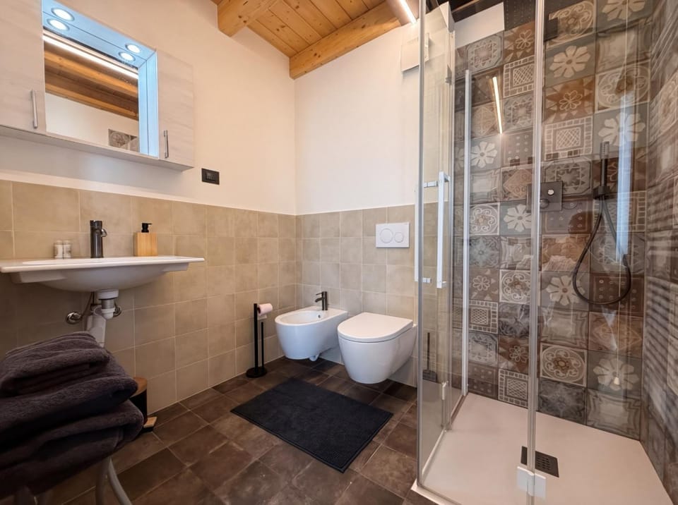 Shower, Toilet, Bathroom, bidet, towels