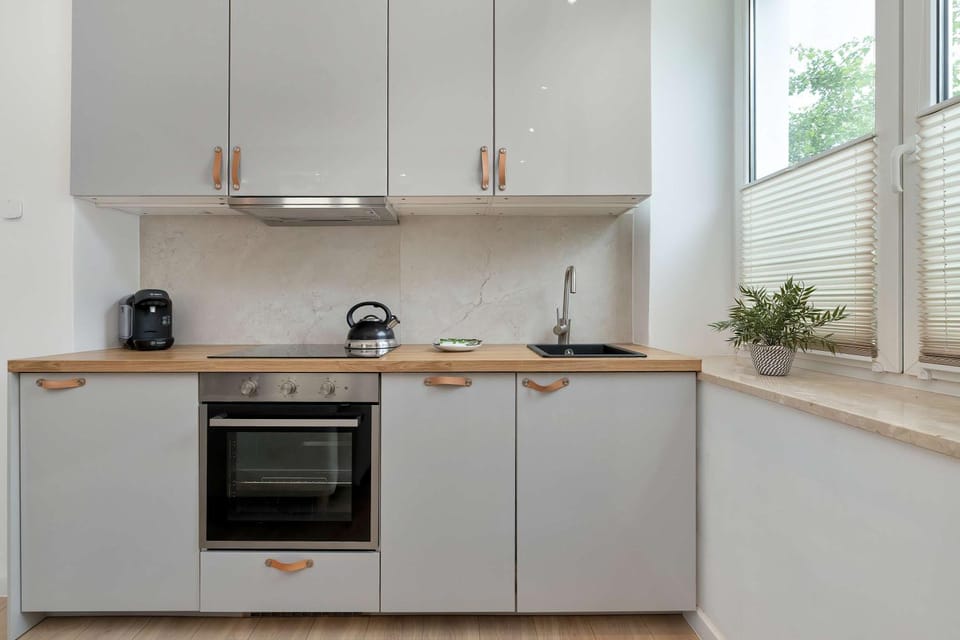 Kitchen or kitchenette, dishwasher