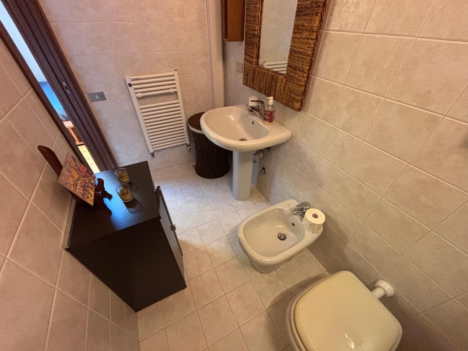 Shower, Toilet, Bathroom, bidet