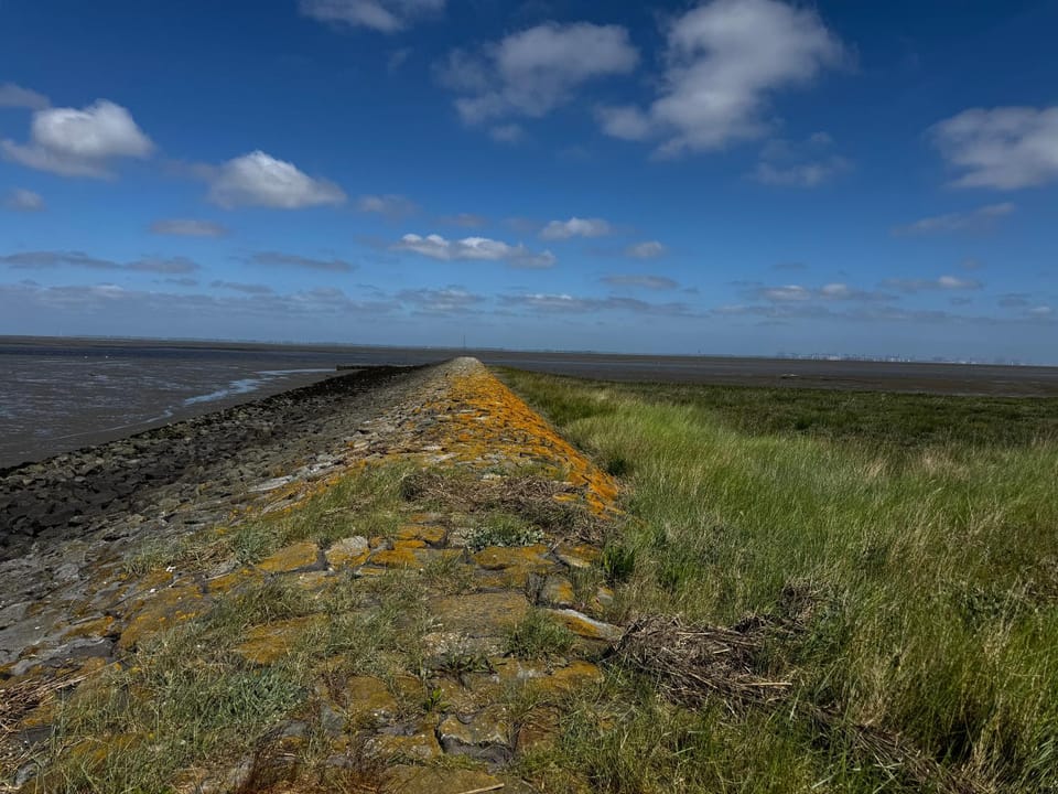 Natural landscape