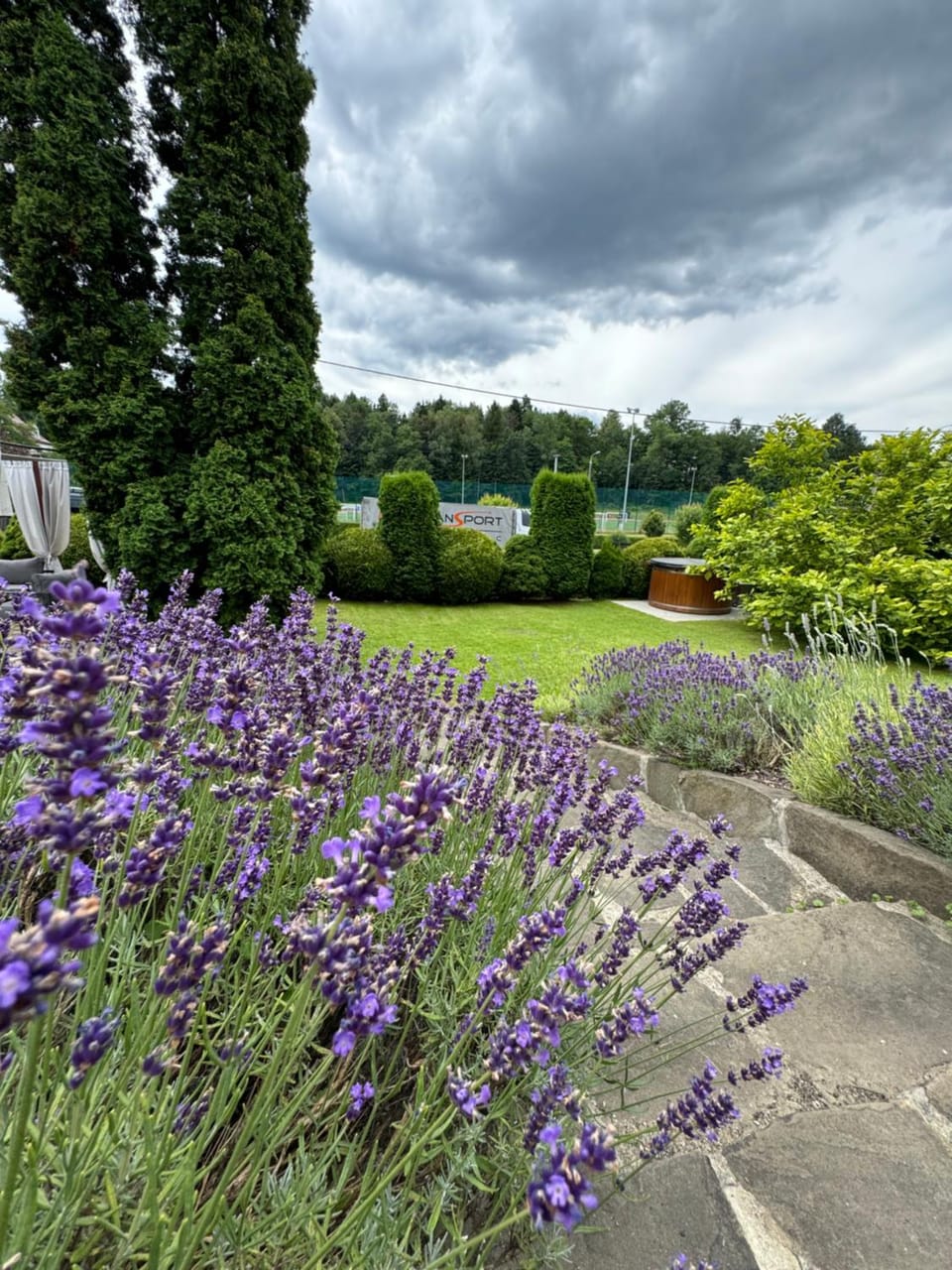 Day, Garden, Garden view