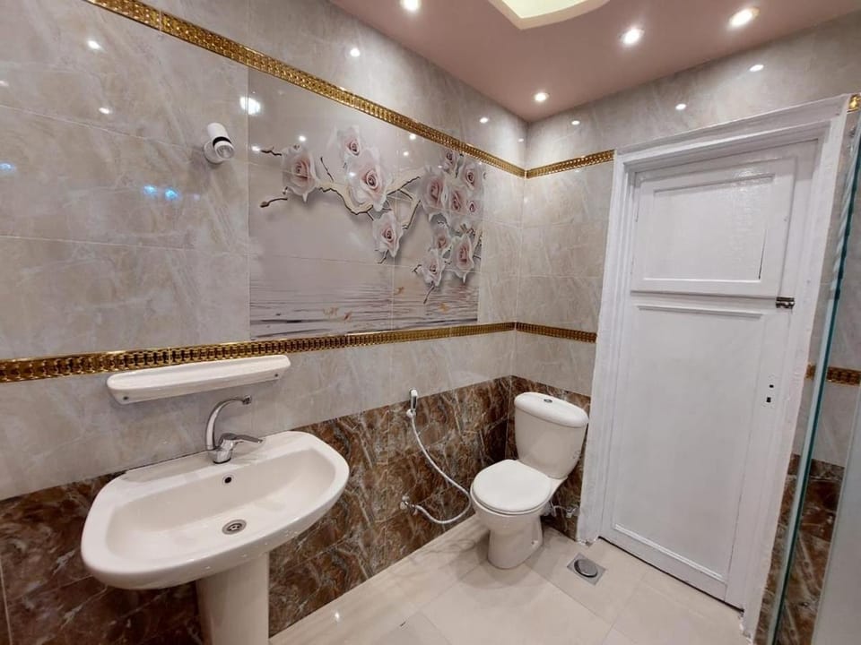 Shower, Toilet, Bathroom, bidet