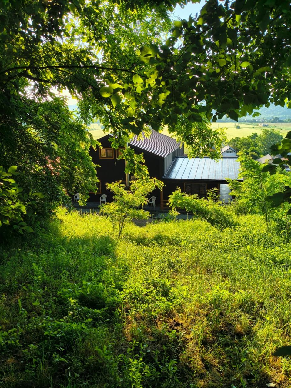 Casa cu Pădure Nature lodge in Prahova, Romania