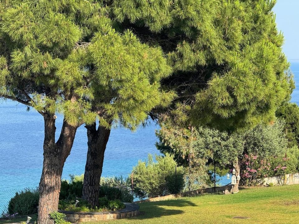 Sea view villa Afitos 150 m from the sea Villa in Halkidiki