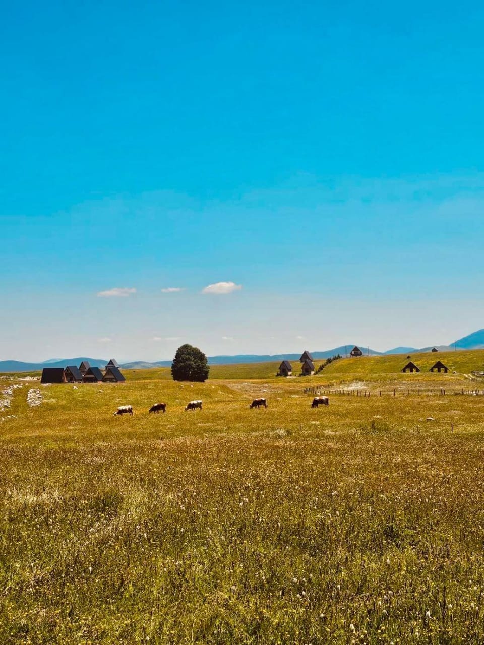 Falcon View Zabljak Villa in Montenegro