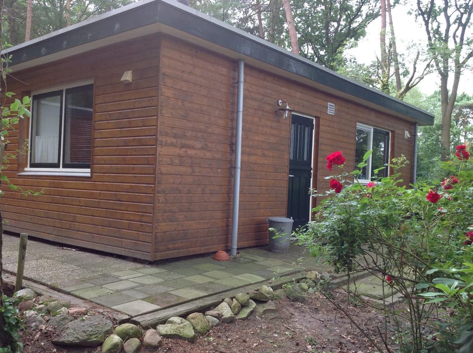 Bungalow Doldersum House in Drenthe (province)