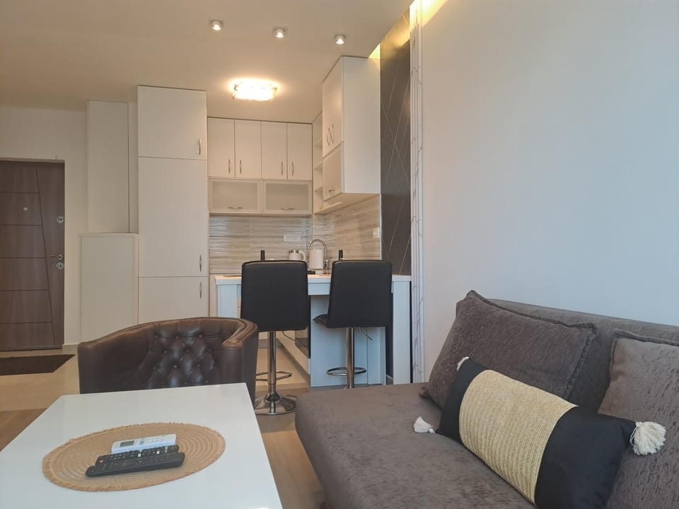 AS apartman Apartment in Podgorica