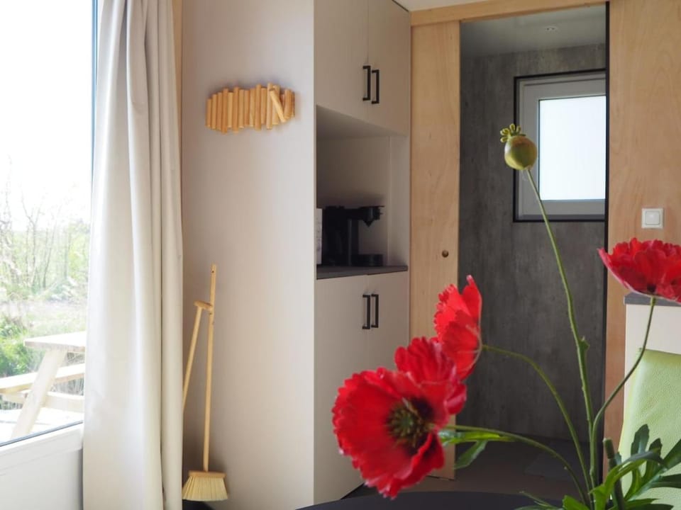Buorkerijhûske B - Tussen Wad en Weide Apartment in Friesland, Netherlands