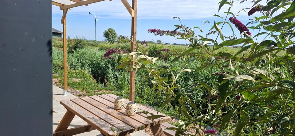 Spring, Day, Natural landscape, Garden view