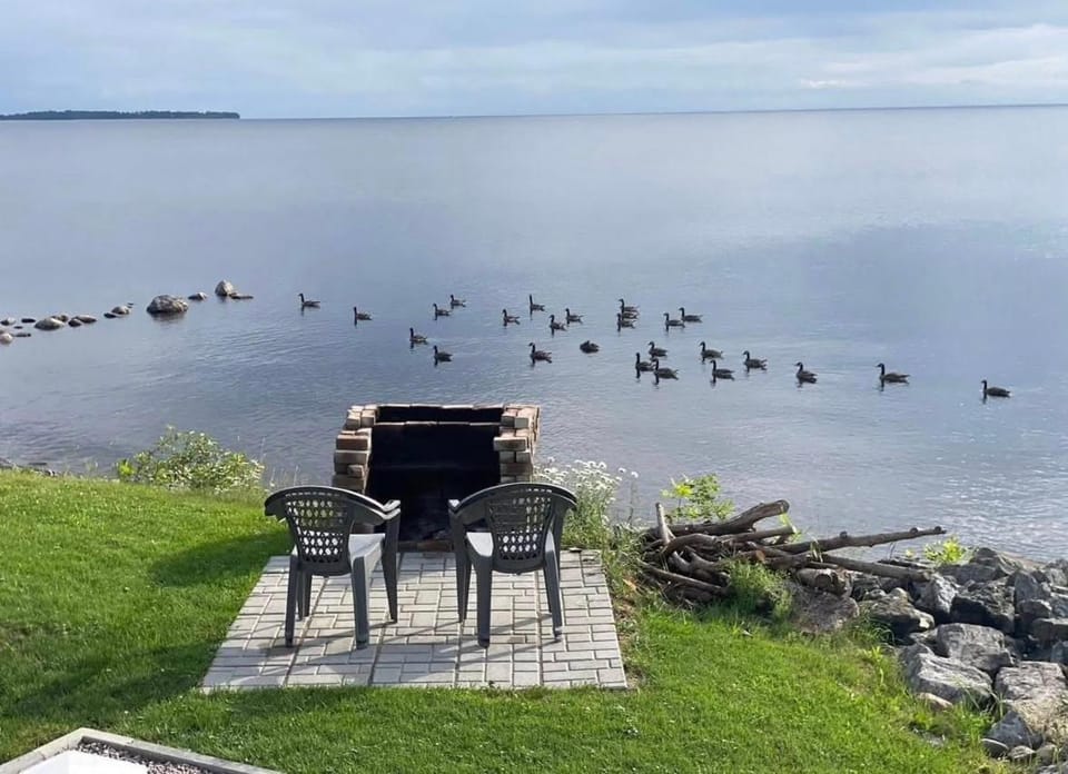 Lake view