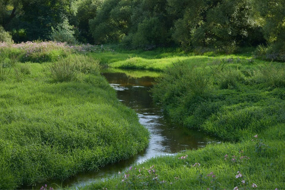 Day, Natural landscape
