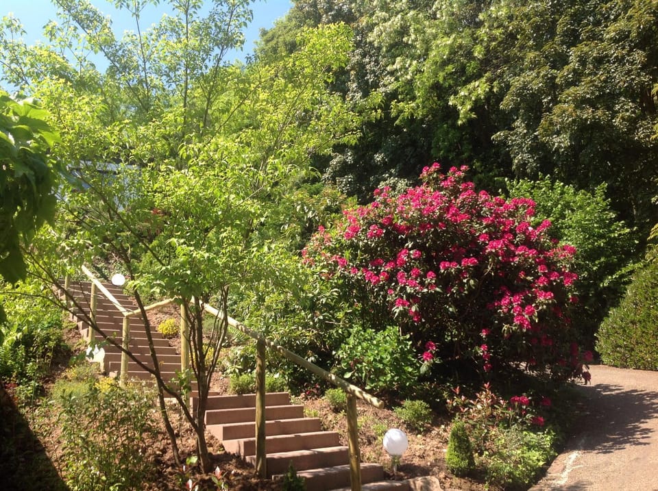 Garden view