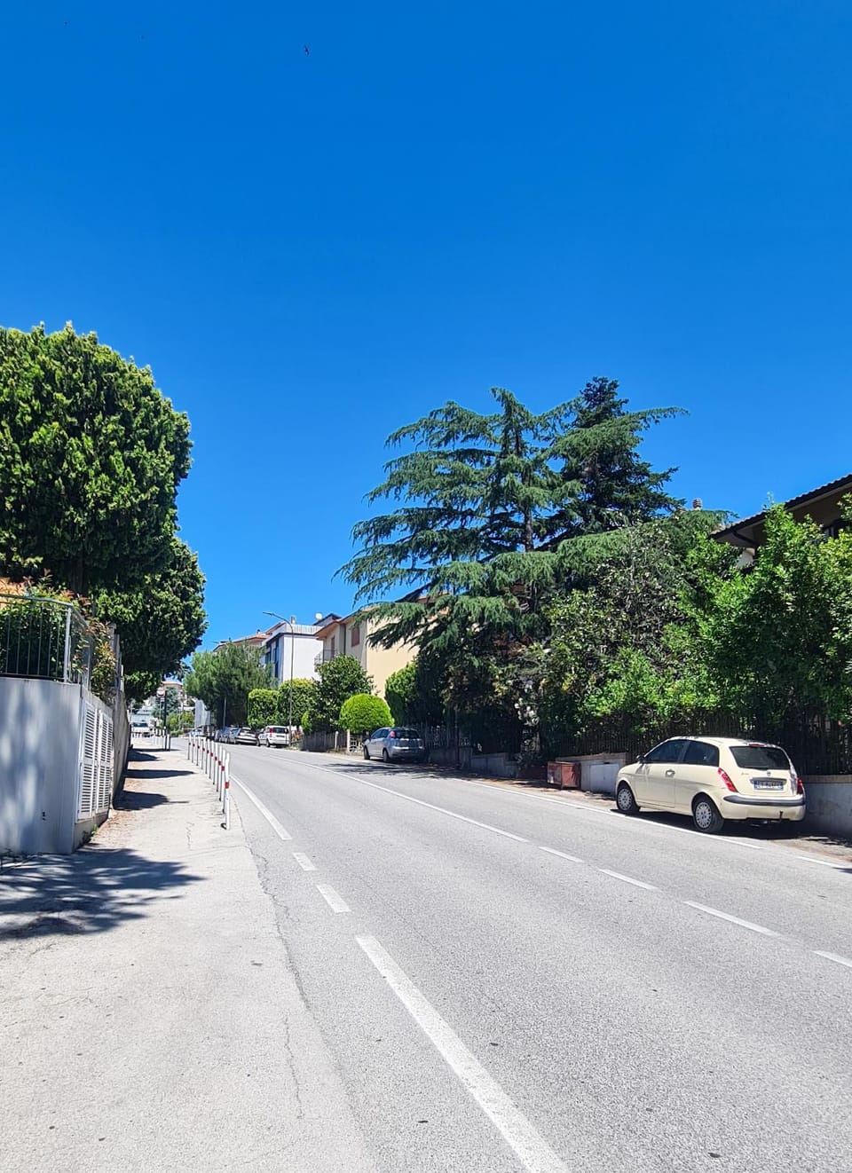 Quiet street view