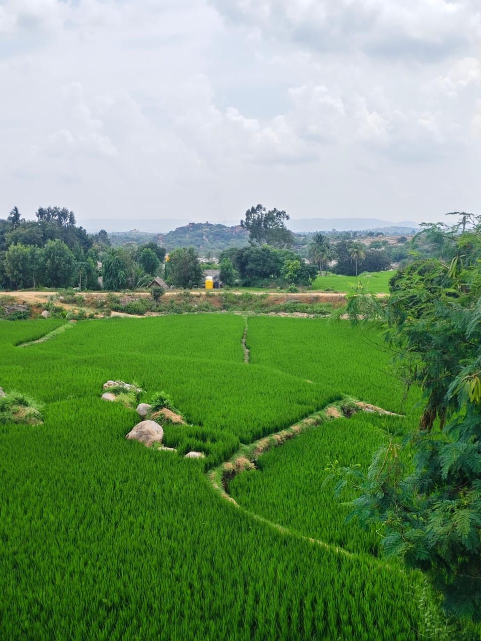 Hemanthhomestayhampi Vacation rental in Karnataka