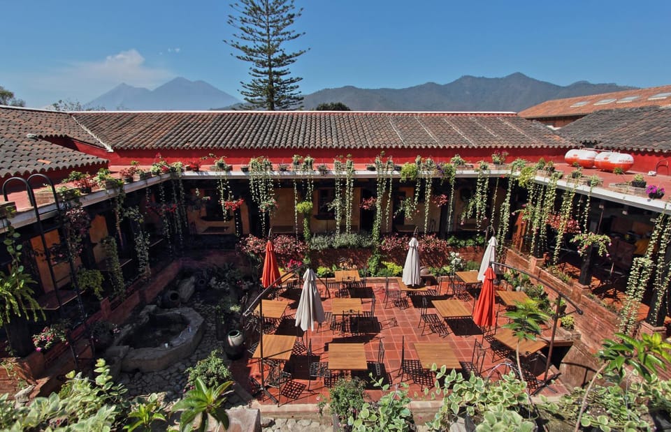 Patio, Day, Garden view