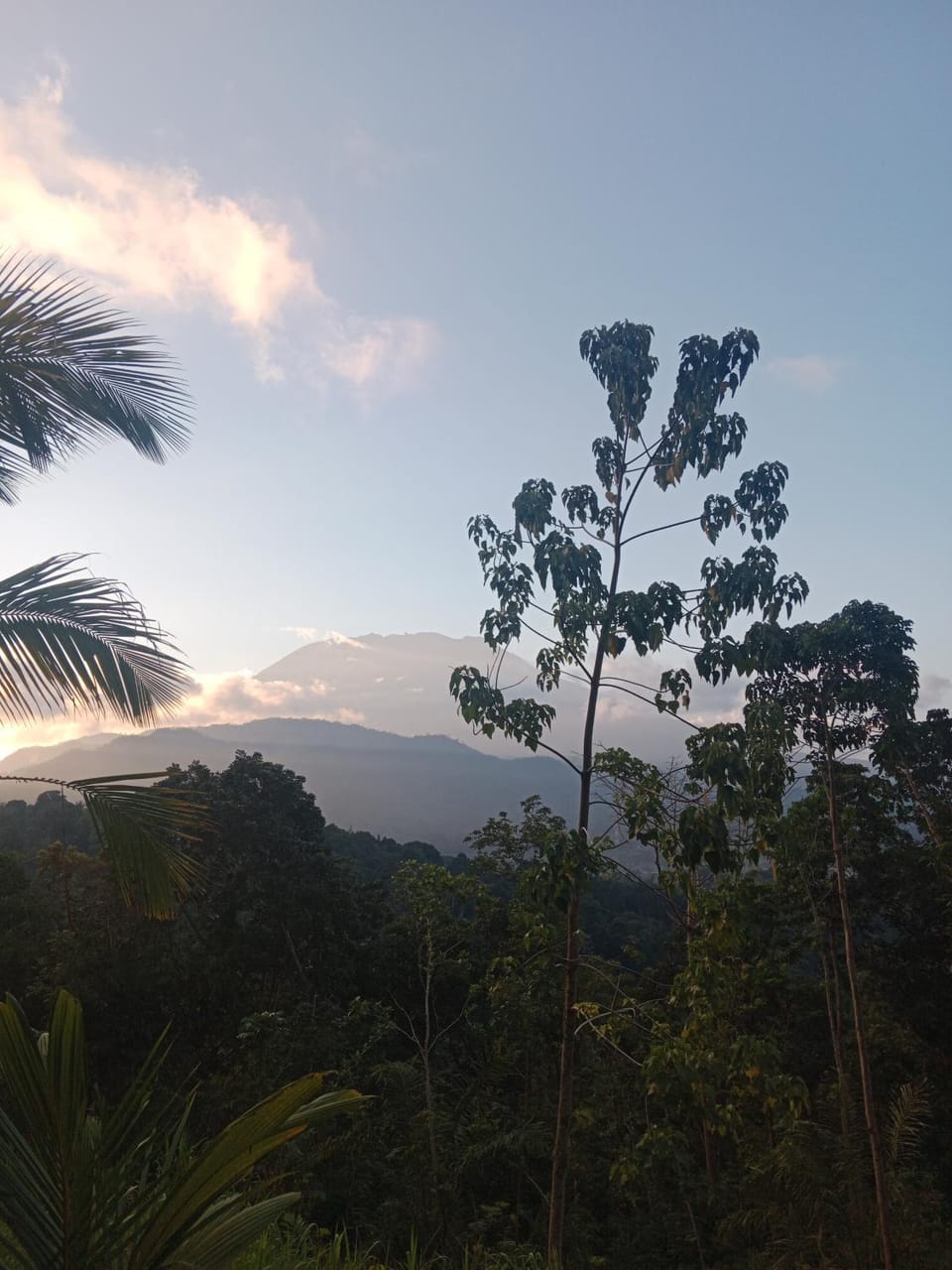 Mountain view