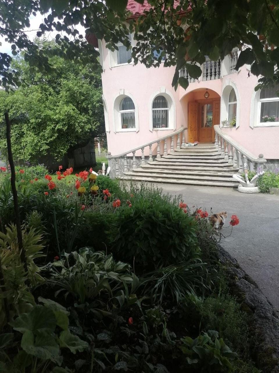 Property building, Garden view