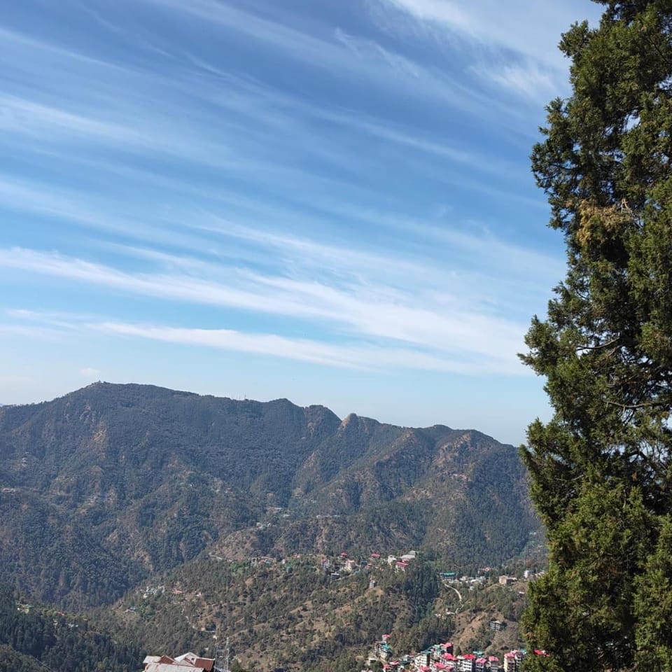 Aira Holme Estate Main House Bed and Breakfast in Shimla