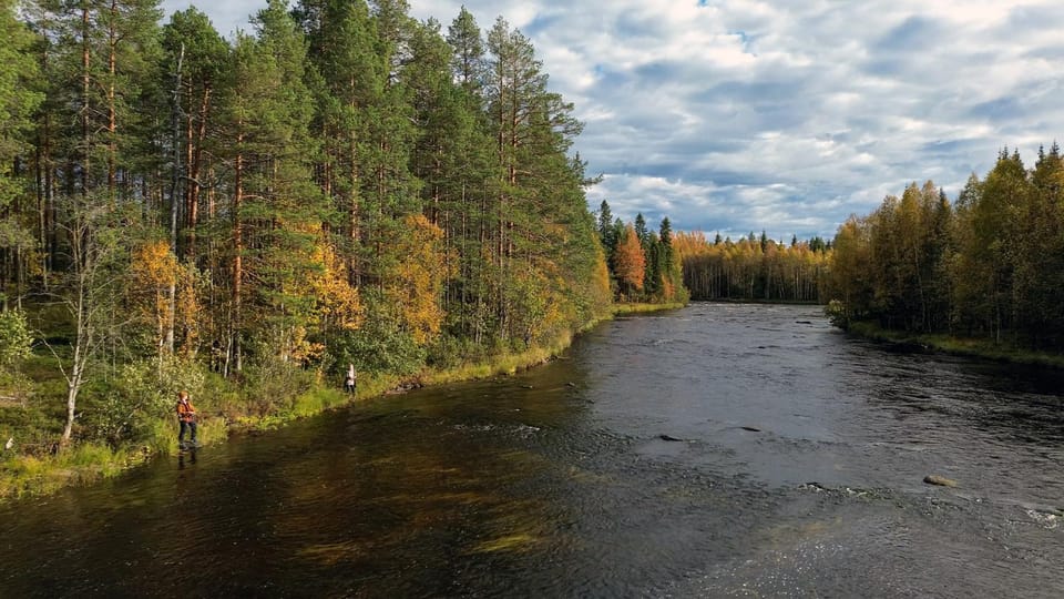Aurakoski 1 House in Lapland