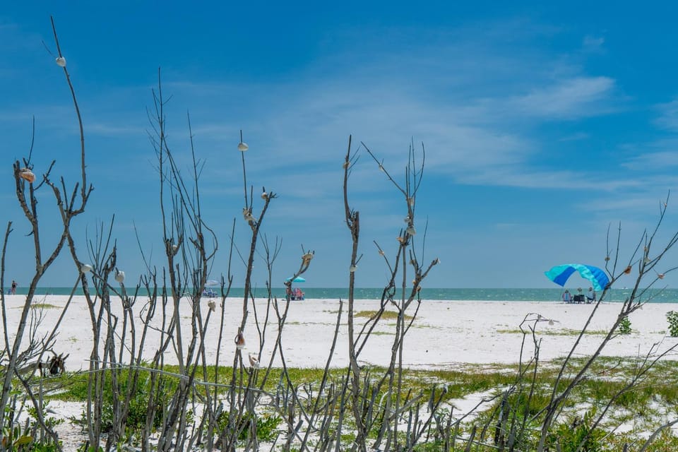 Hook Wine and Sinker by Sun Palace Vacations House in Estero Island