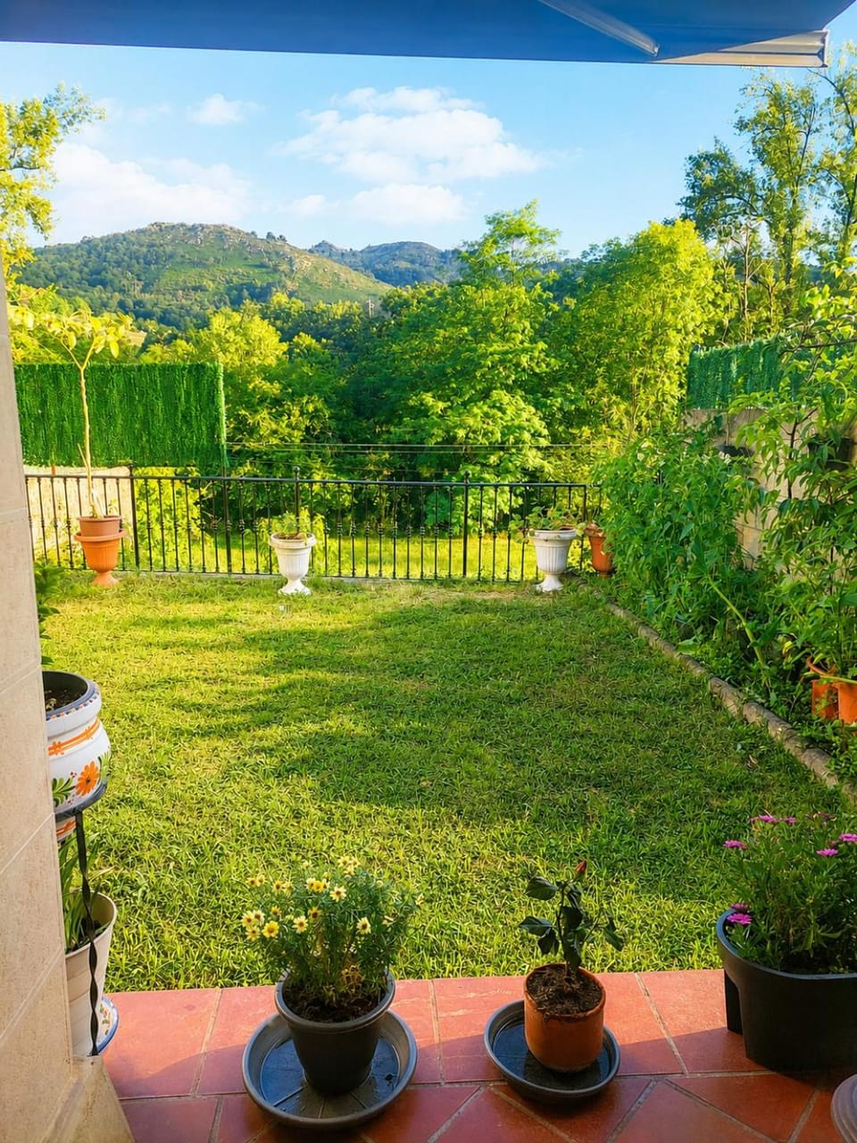 Natural landscape, Garden, Garden view, Mountain view