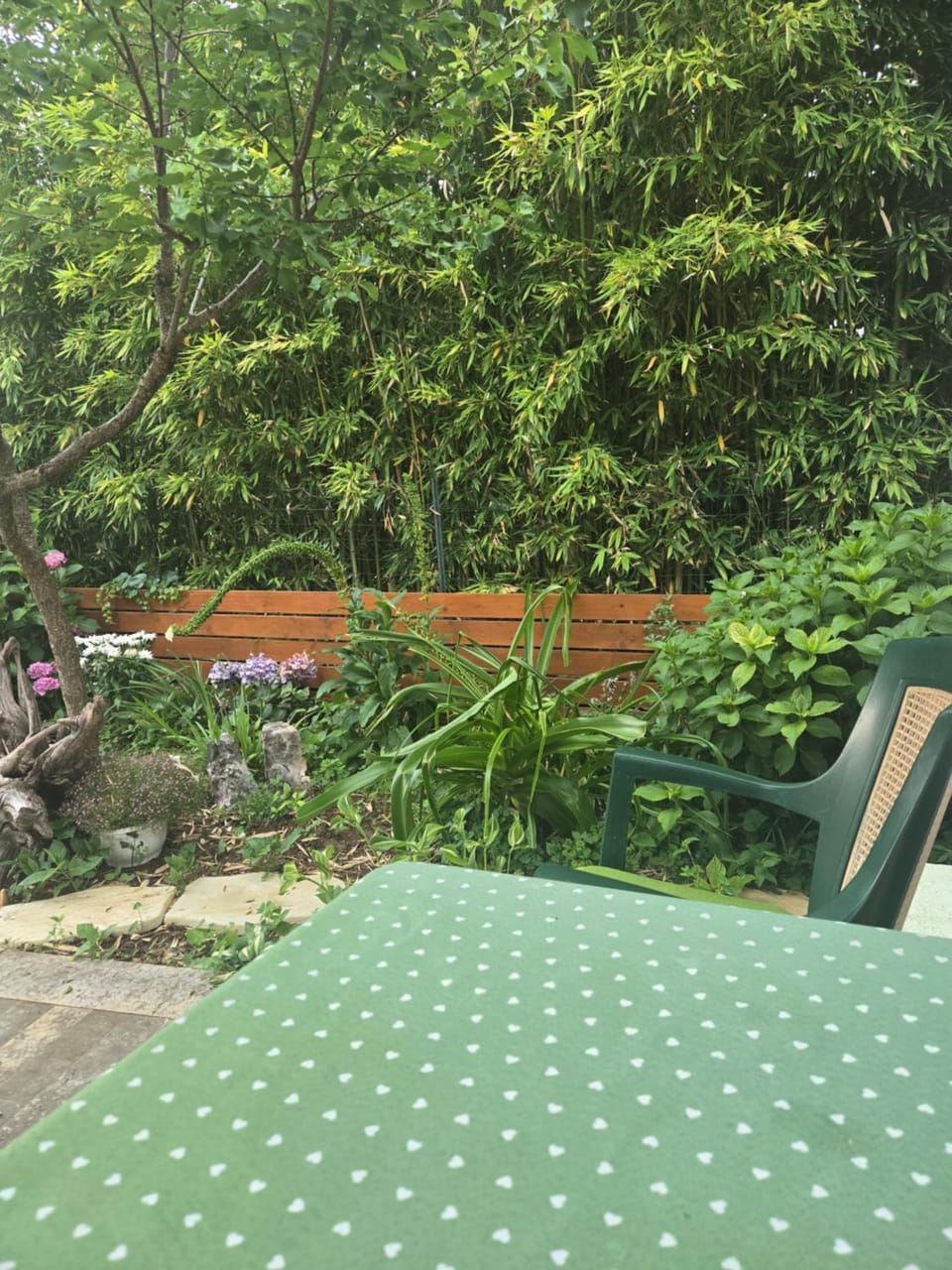 Flora Apartment in Rovinj