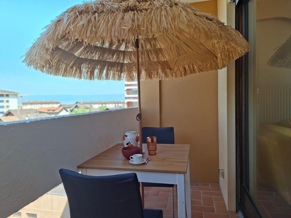 T2 GRAND BALCON THONON PROCHE GARE sncf & CENTRE VILLE Apartment in Thonon-les-Bains