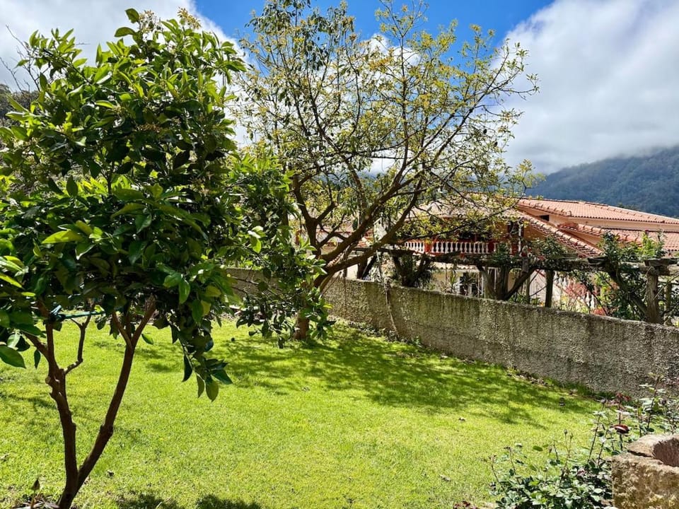 Diniz country cottage House in Madeira District