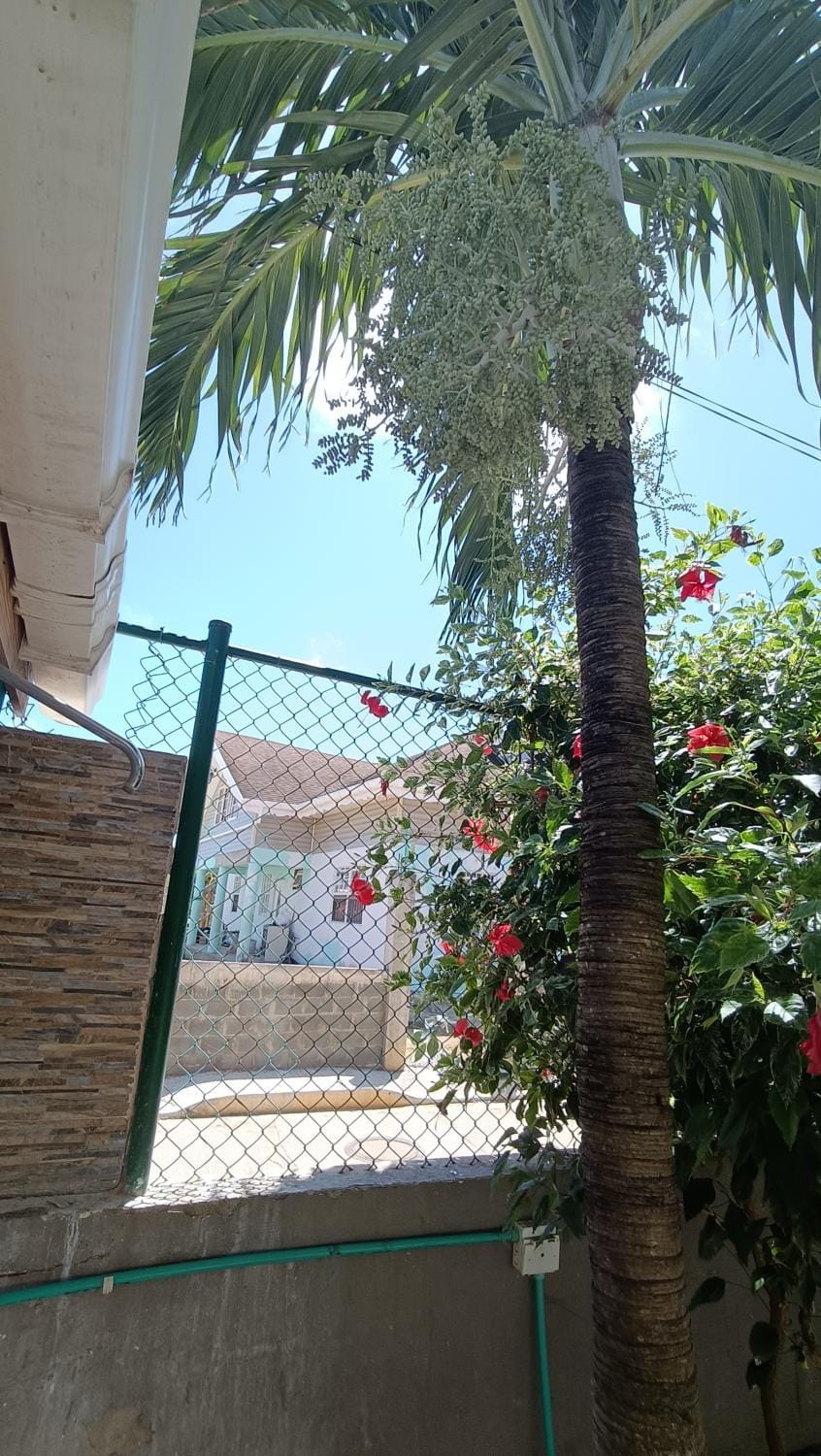 Jackuri Casa Hospedaje Inn in San Andres