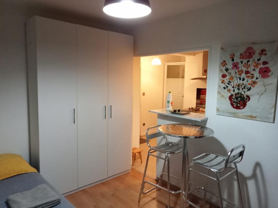 Ravissant studio meublé sans terrasse Apartment in Limoges