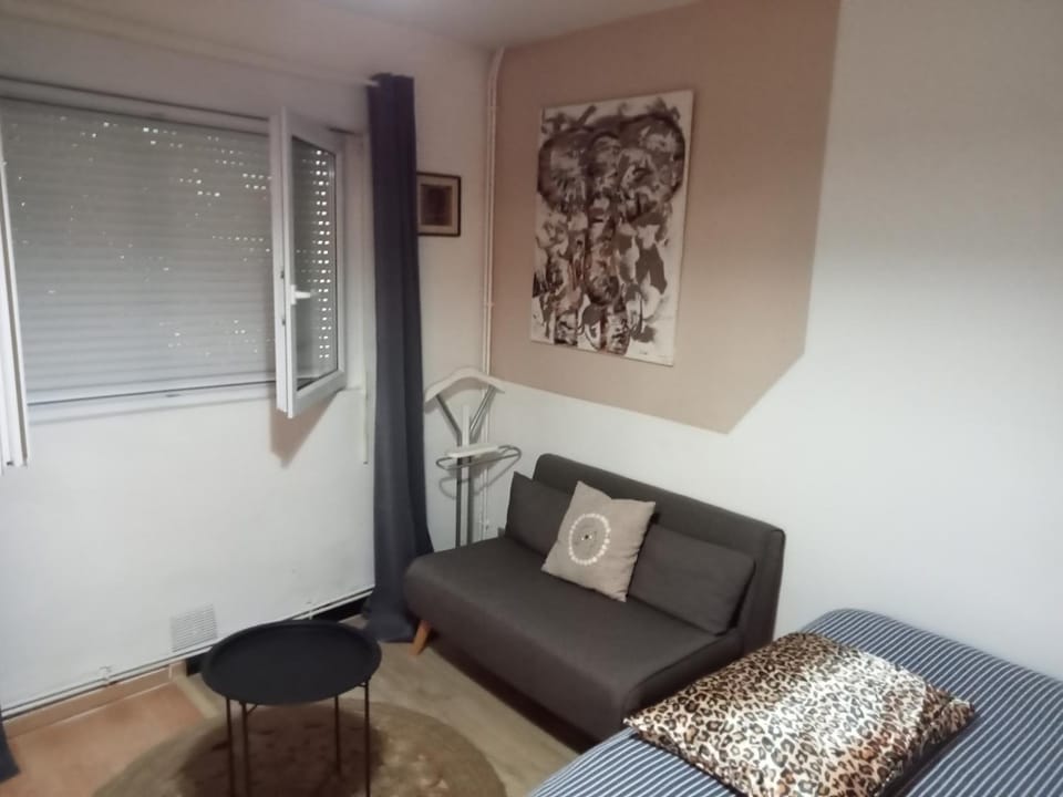 Ravissant studio meublé sans terrasse Apartment in Limoges