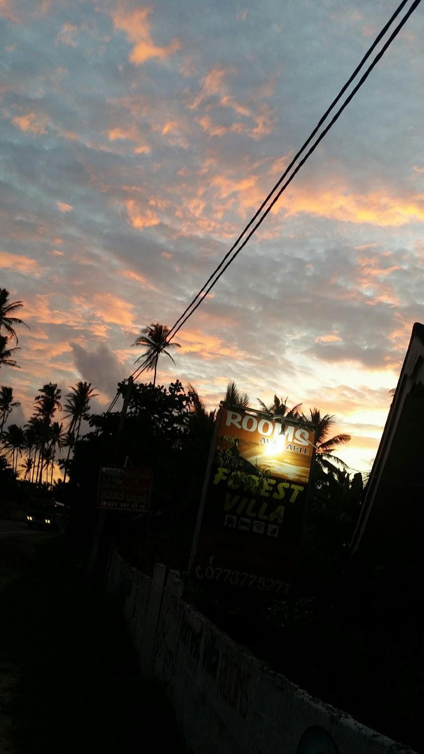 Sunset