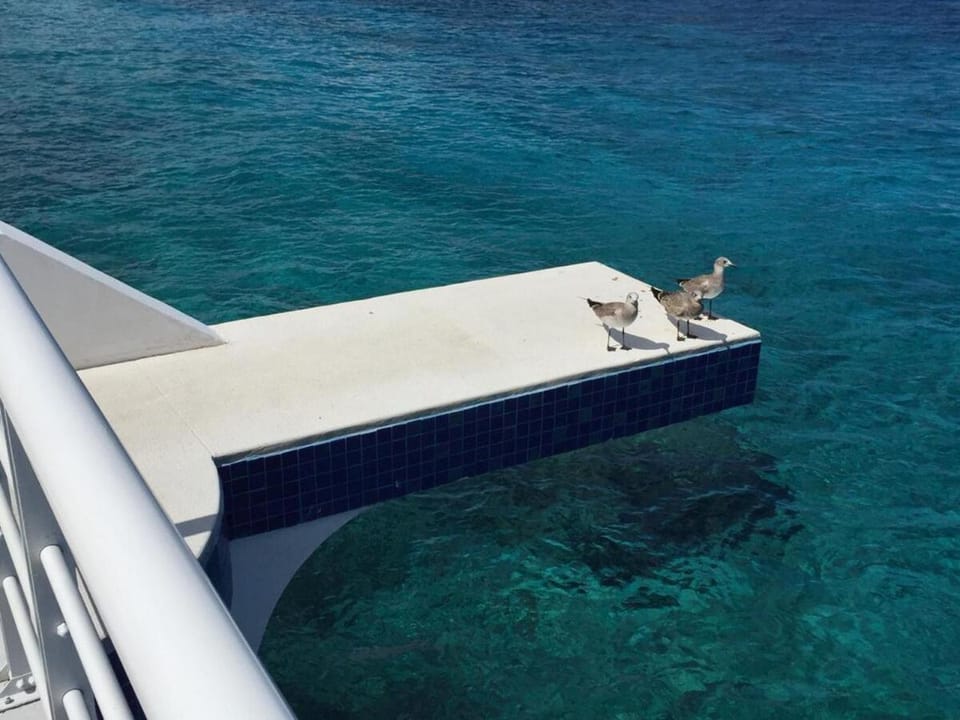 Oceanfront Escape Sunset Views and Caribbean Breeze Apartment in San Miguel de Cozumel
