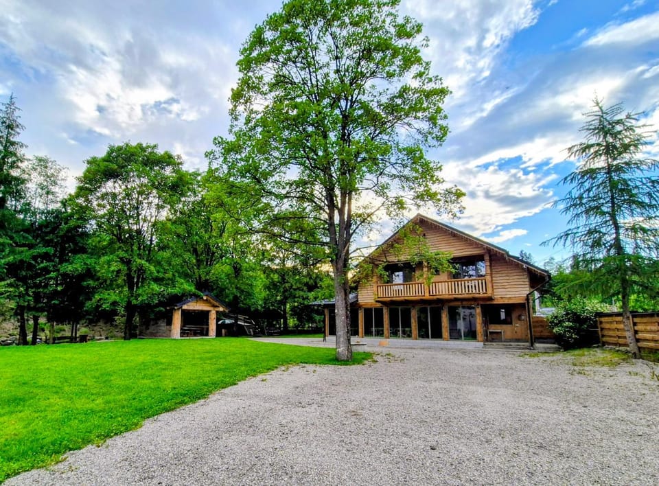 Cabana Pârâul Lupilor House in Romania