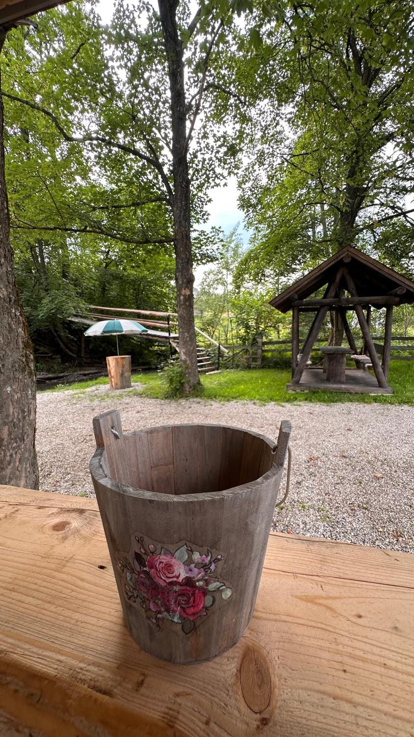 Cabana Pârâul Lupilor House in Romania