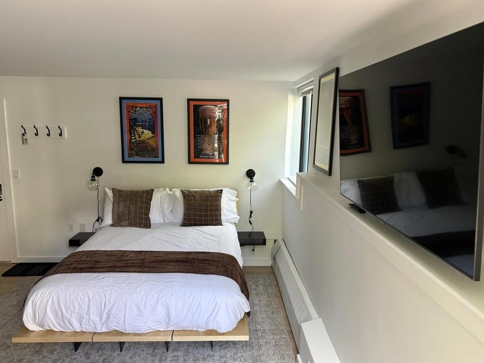 In Town Slope View Studio with Sunny Patio Apartment in Telluride