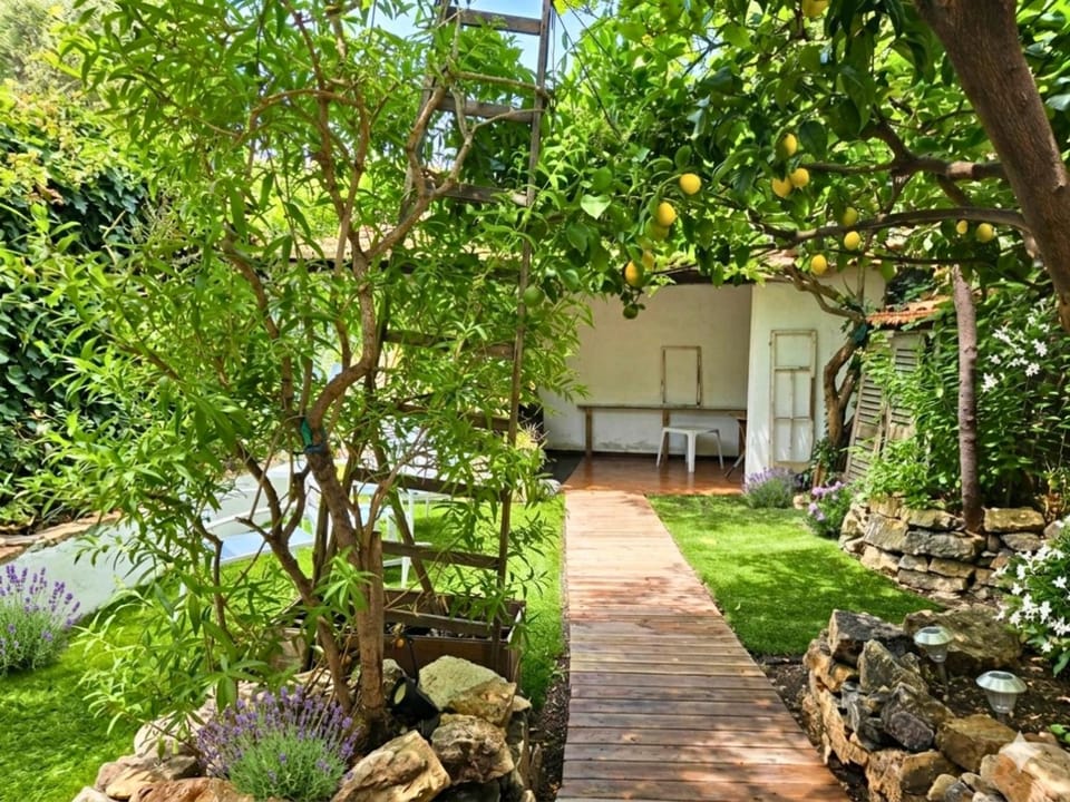 Garden, Garden view