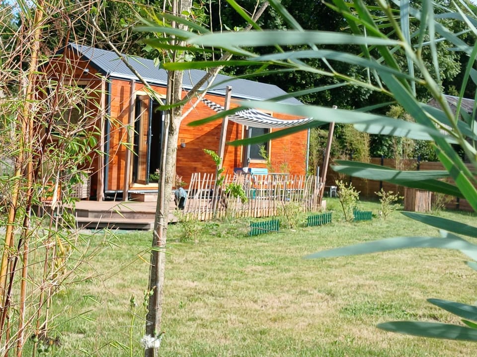 Garden, sunbed