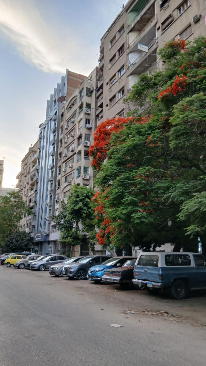 Downtown Quarter Bed and Breakfast in Cairo